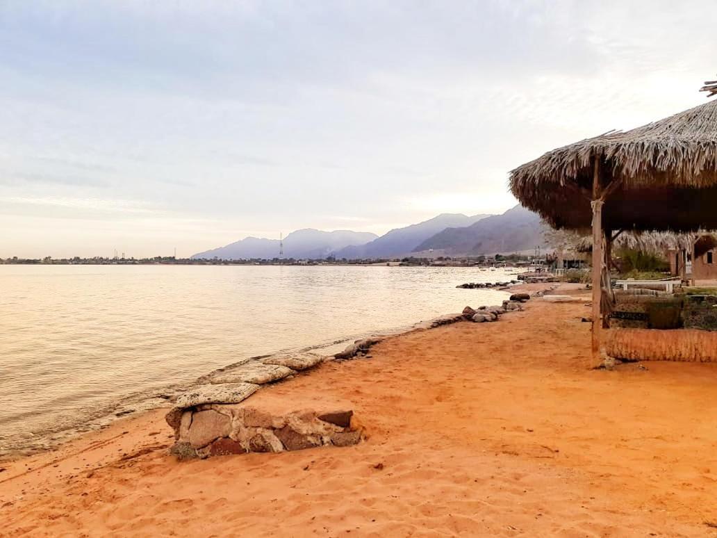 Sababa Beach Camp Bed and Breakfast Nuweiba` Zewnętrze zdjęcie